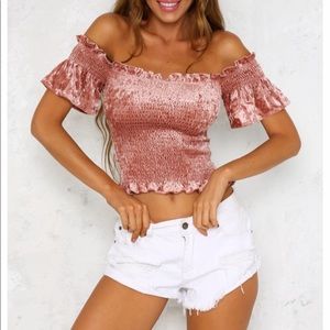 Hello Molly velvet crop top! NWOT!